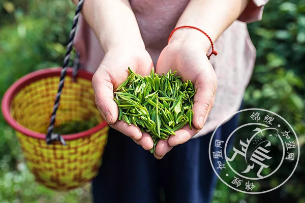 代理三千茶农加盟费多少钱