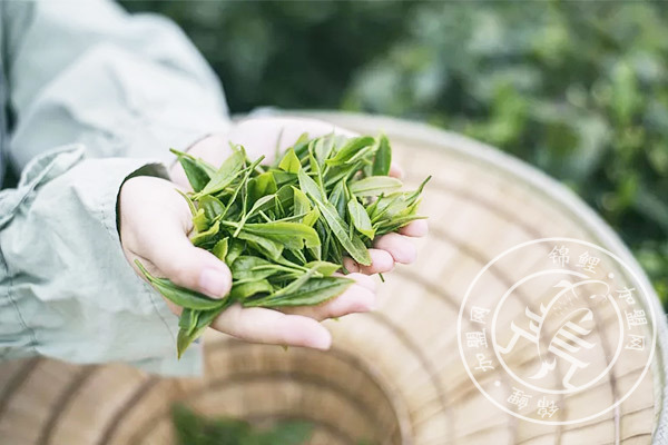 三千茶农茶叶店加盟